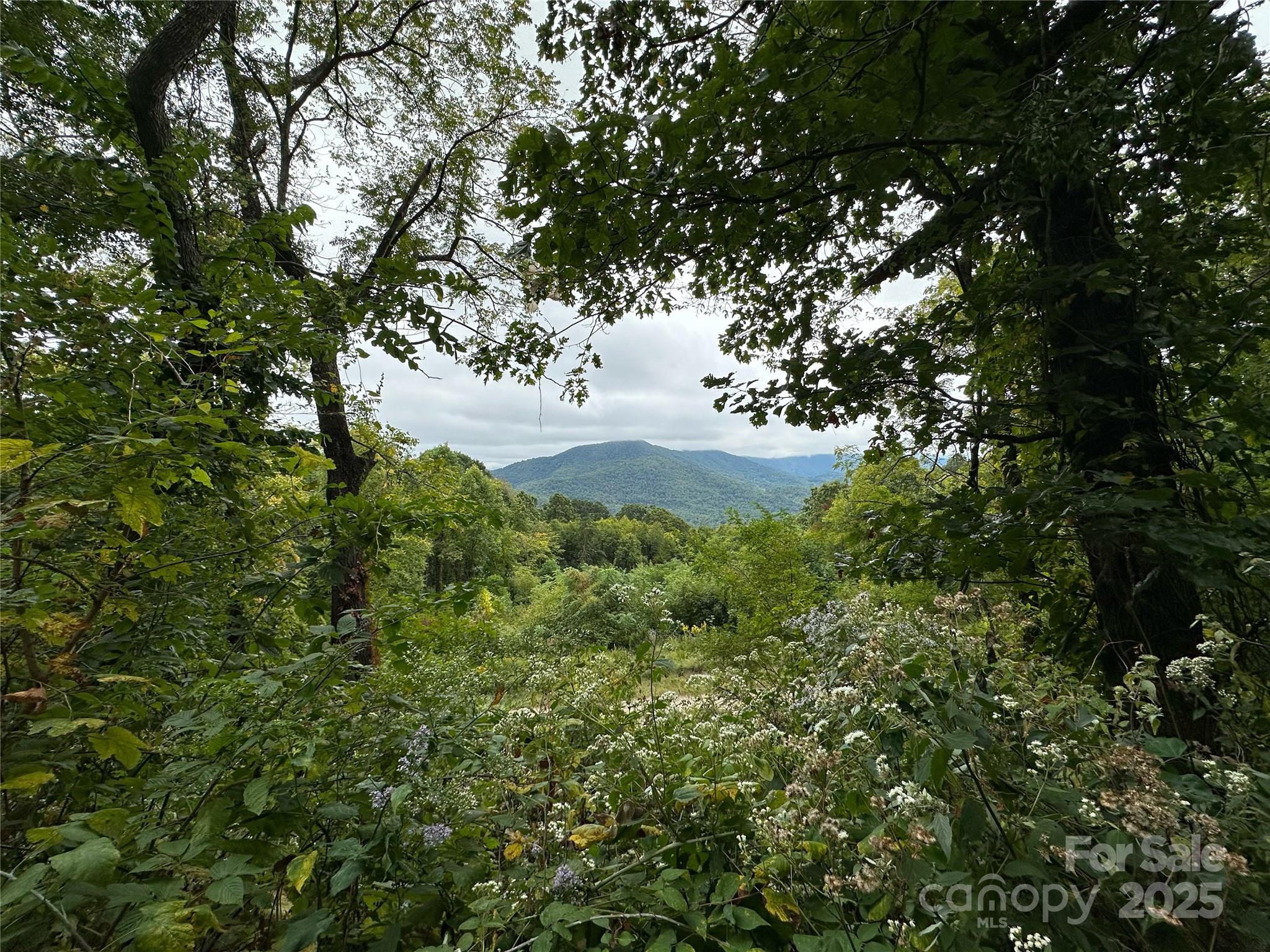 The Summit of Asheville - Land