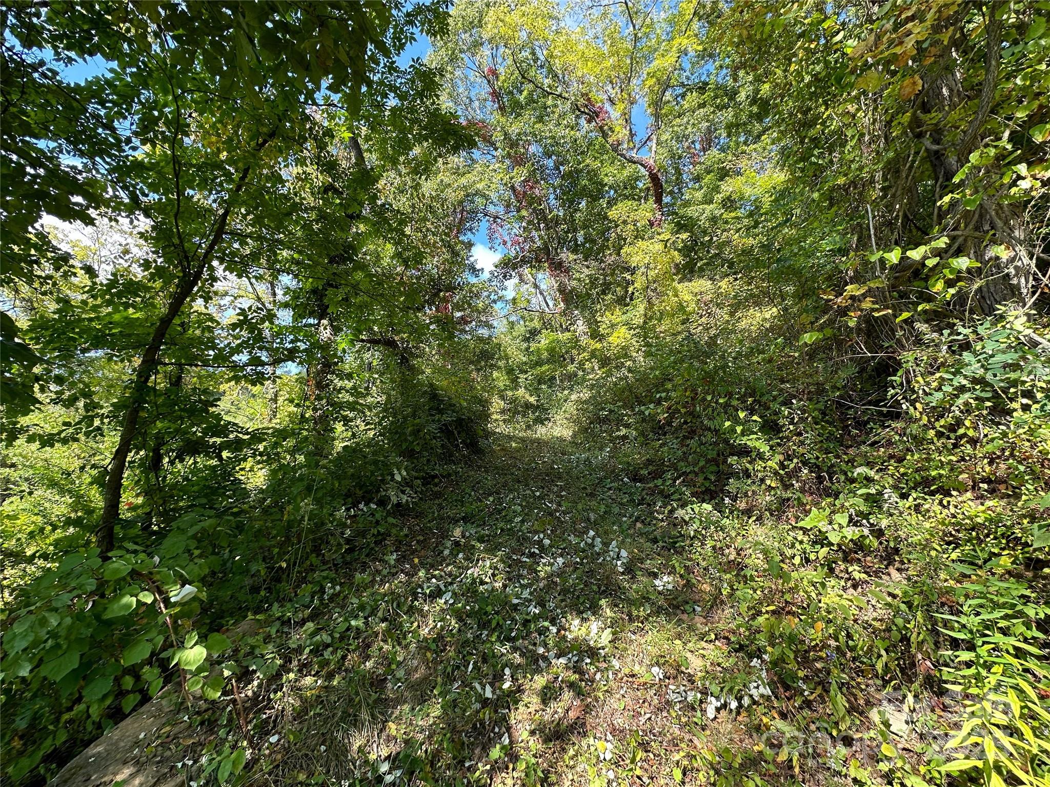 The Summit of Asheville - Land