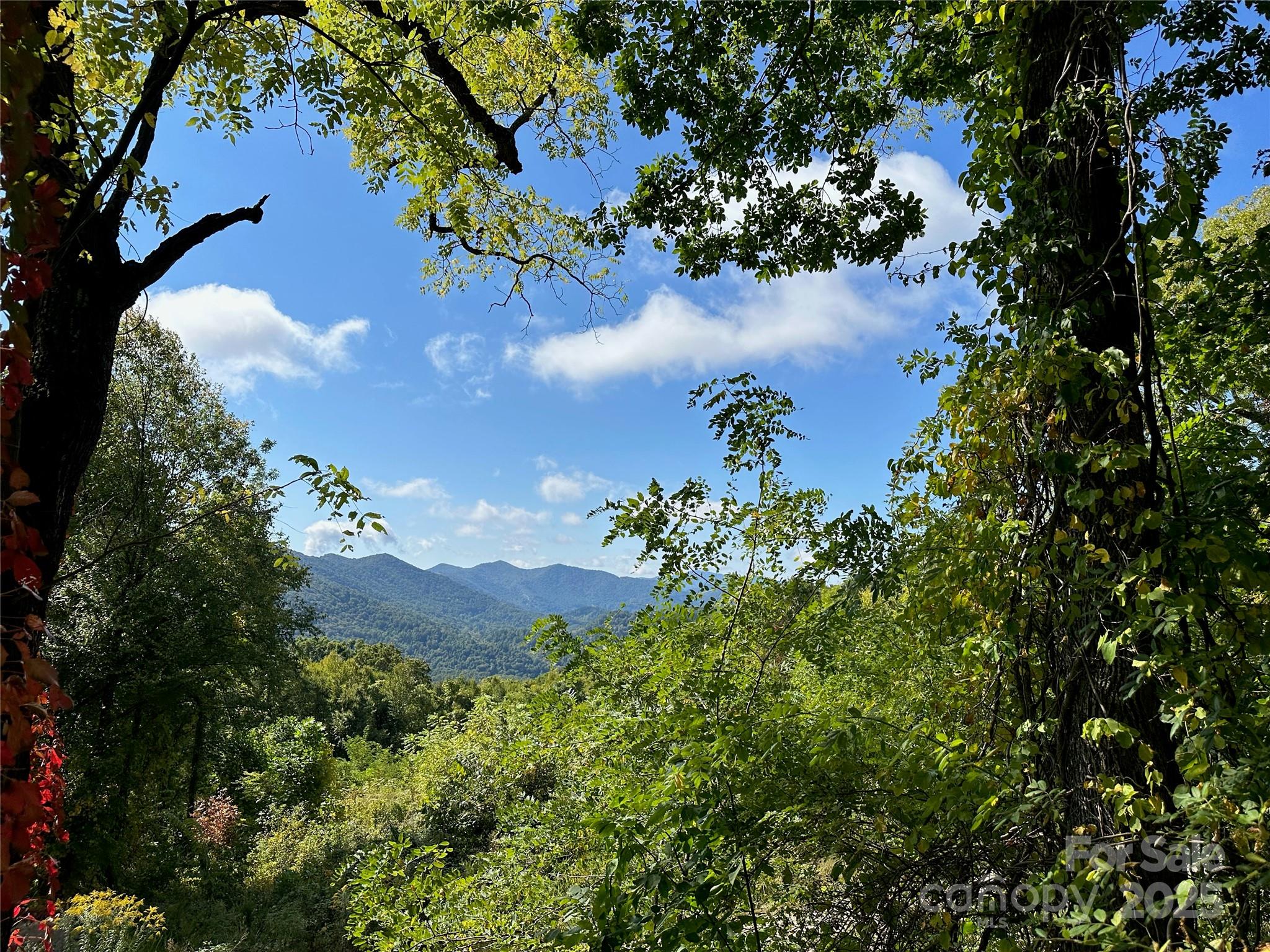 The Summit of Asheville - Land