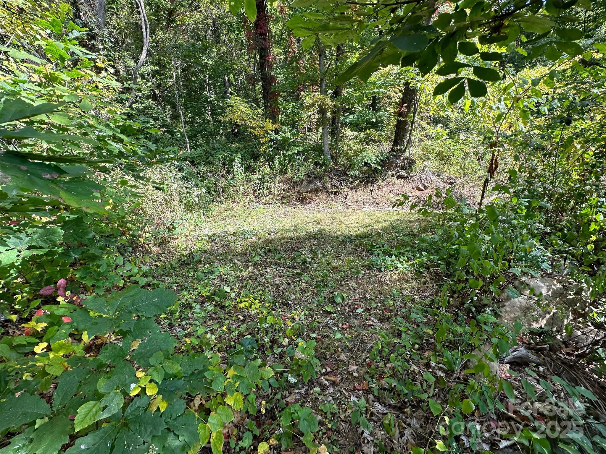 The Summit of Asheville - Land