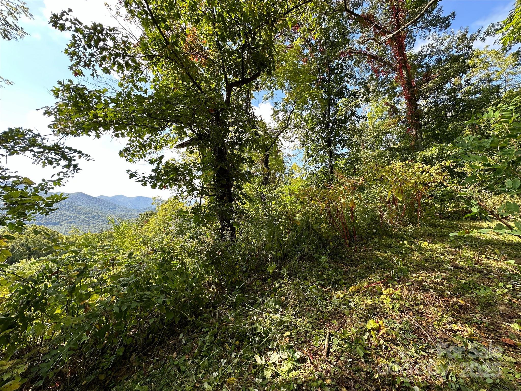 The Summit of Asheville - Land