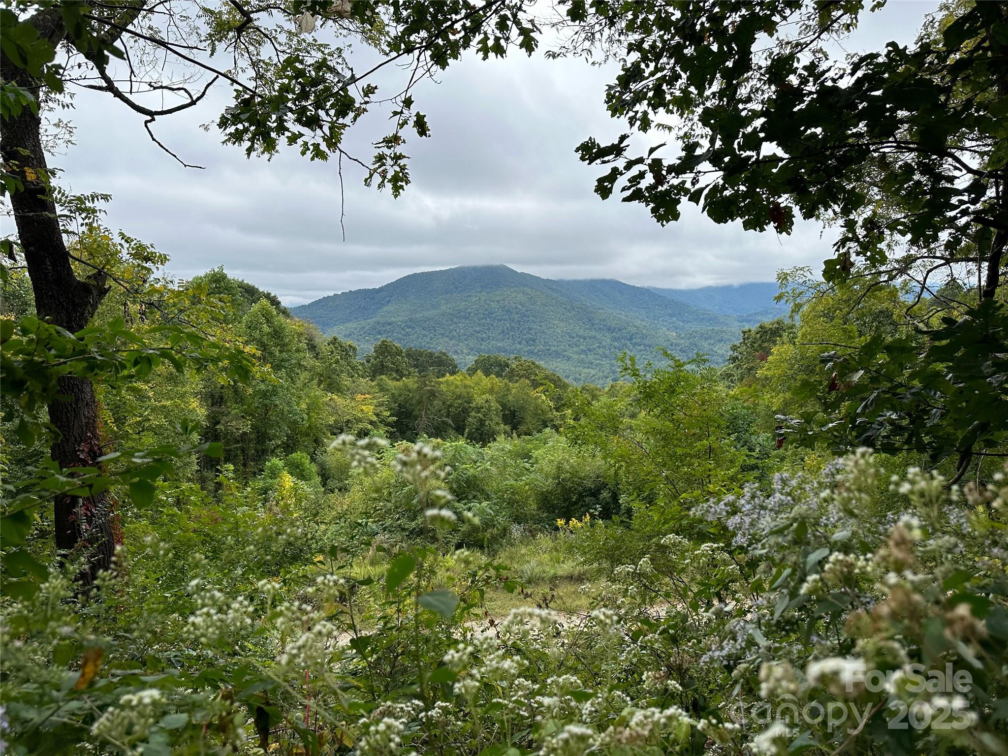 The Summit of Asheville - Land
