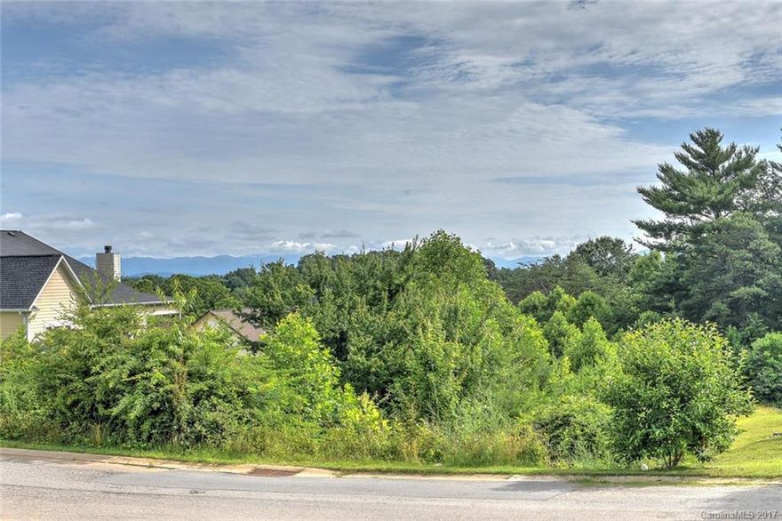 Fantastic Lot in Desirable Leicester Village with A Wonderful Upscale Community. Well Established HOA in place, Underground Utilities, City water & City Sewer. Awesome Location, Super Convinent to Dining, Shopping and Schools. Only a Quick 10 Minutes to  Fabulous Downtown Asheville!