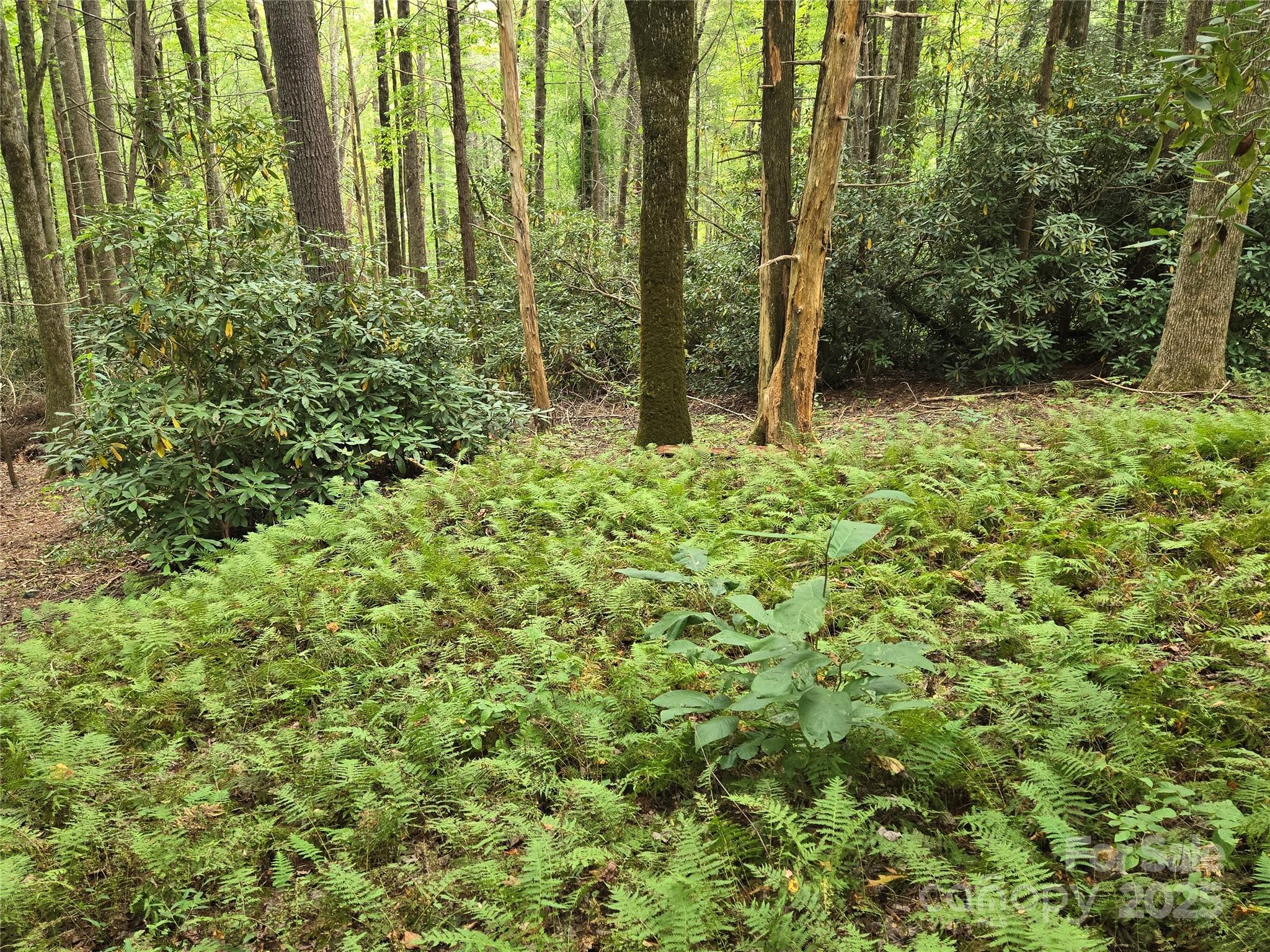 Country Club Estates - Residential