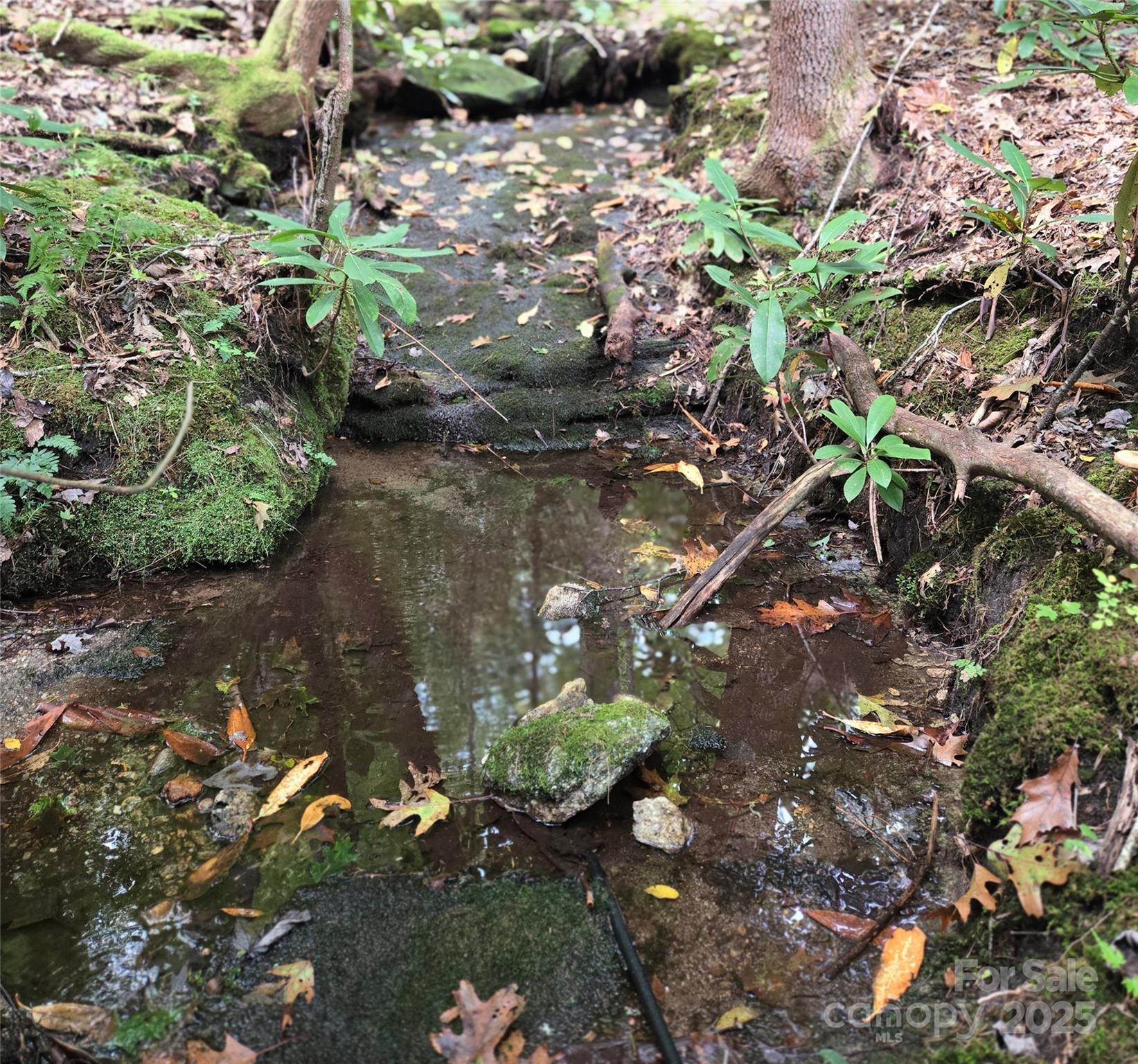 Country Club Estates - Residential