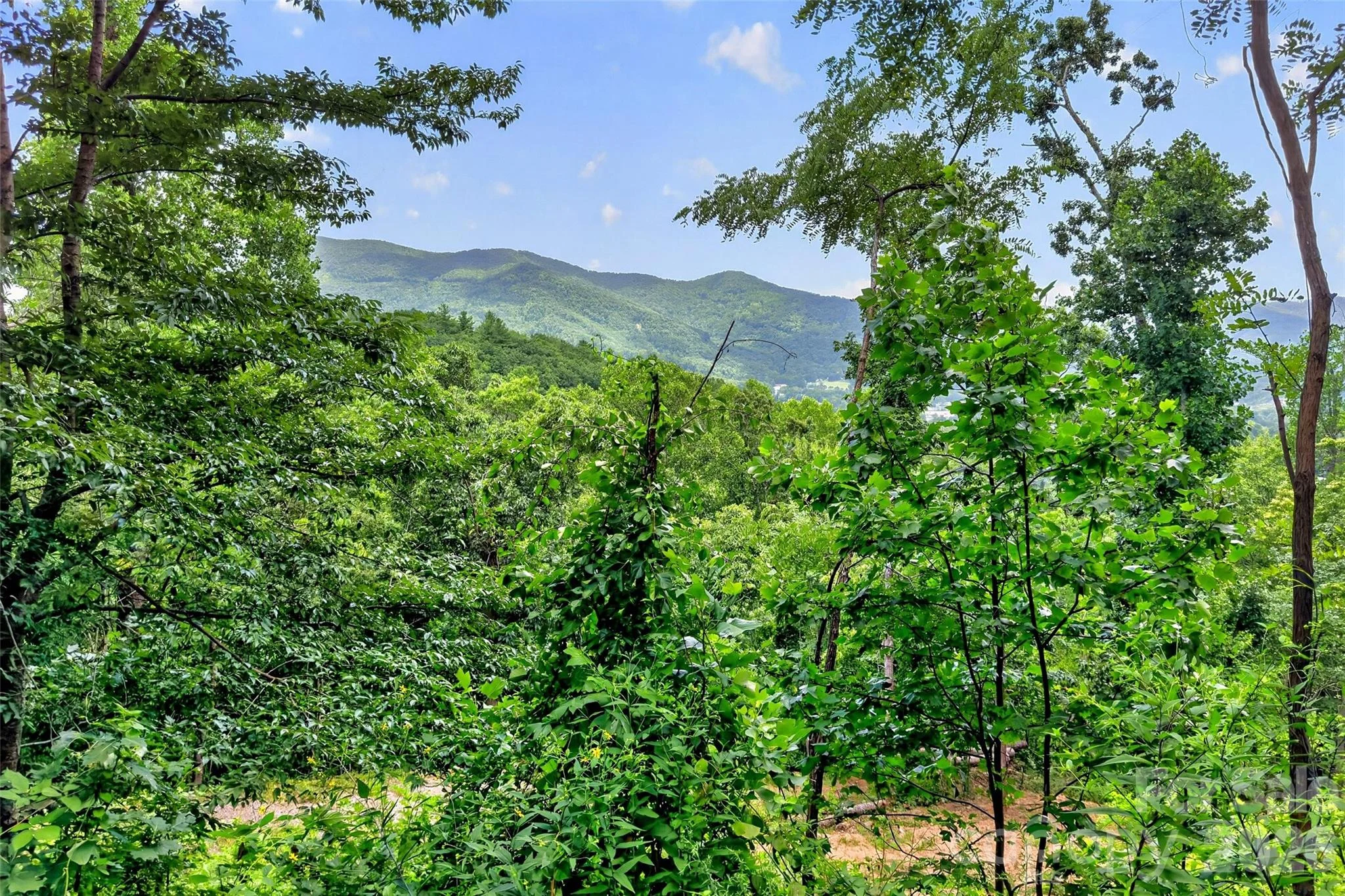 32 Nellie Bell Lane, Swannanoa, NC, 28778