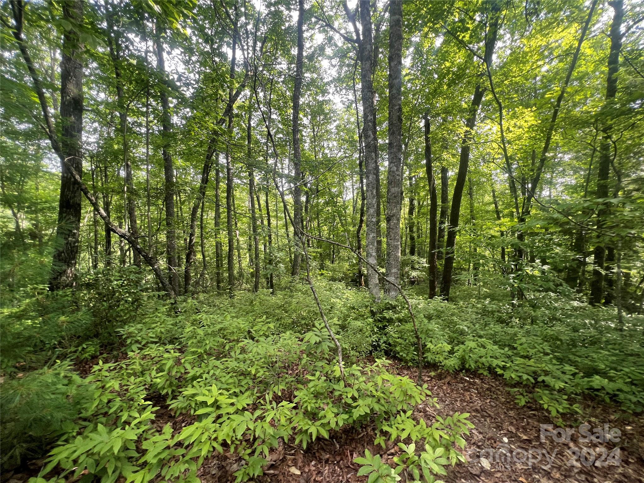 000 Laurel Thicket Lane