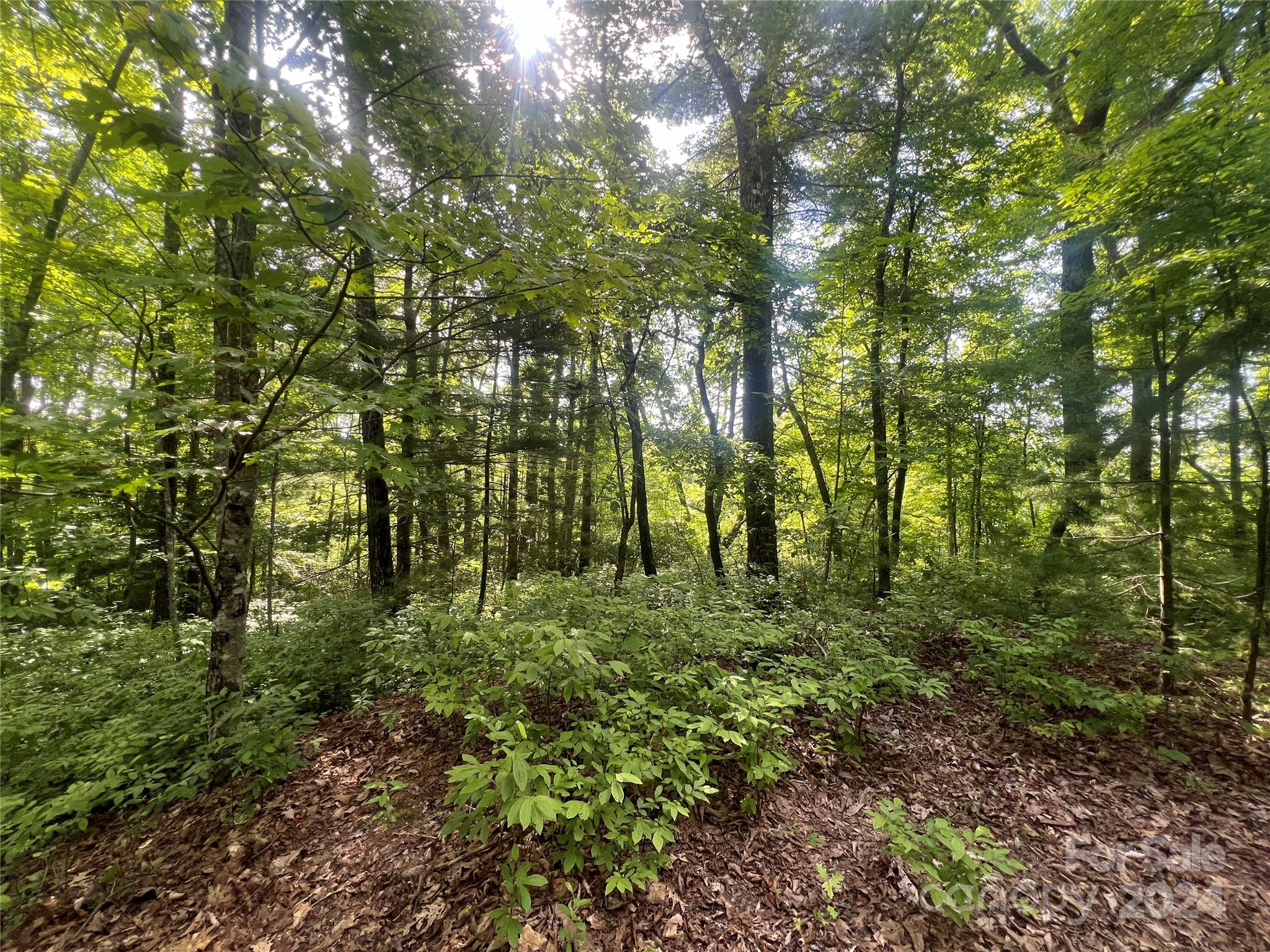 000 Laurel Thicket Lane