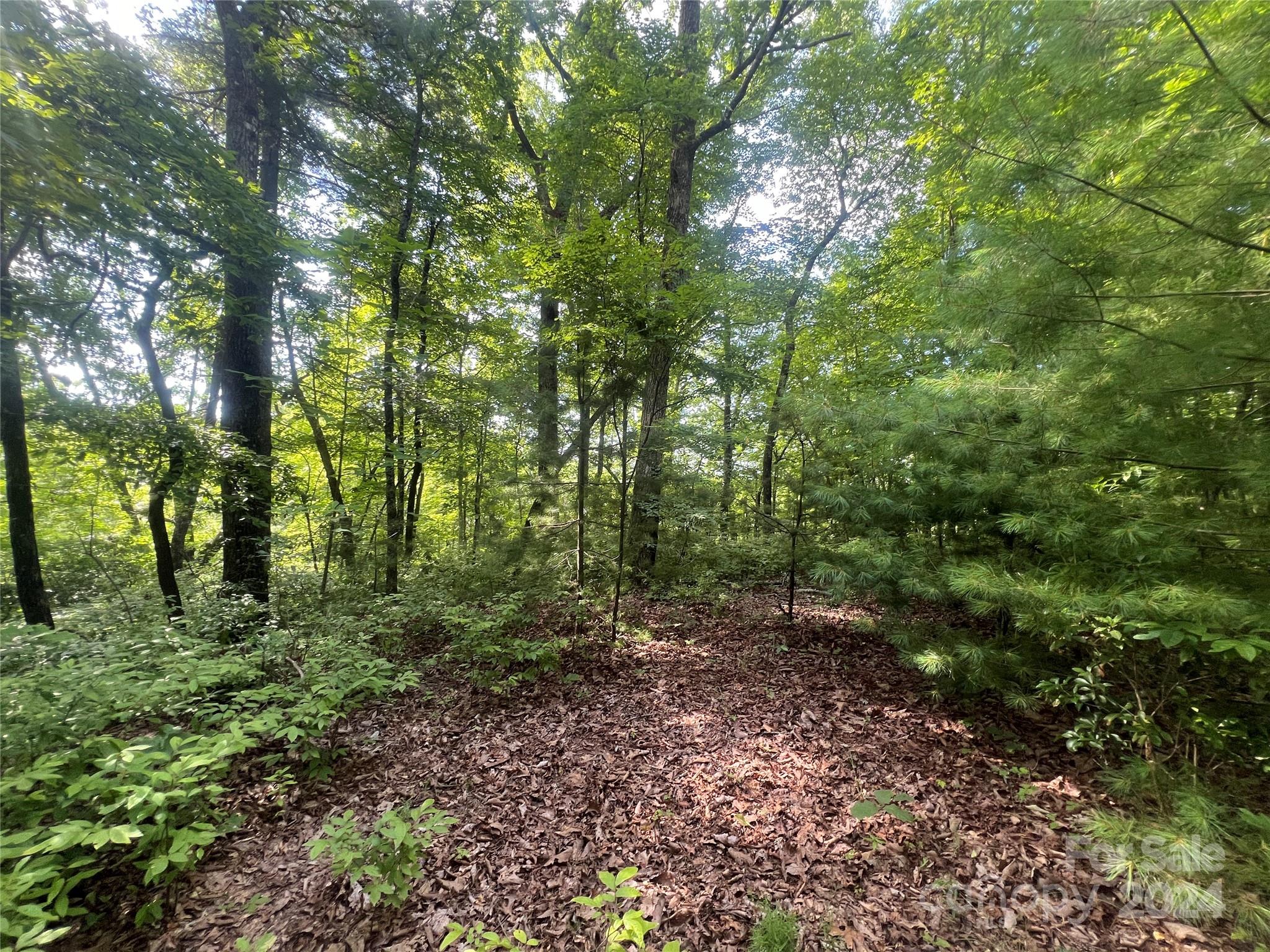 000 Laurel Thicket Lane