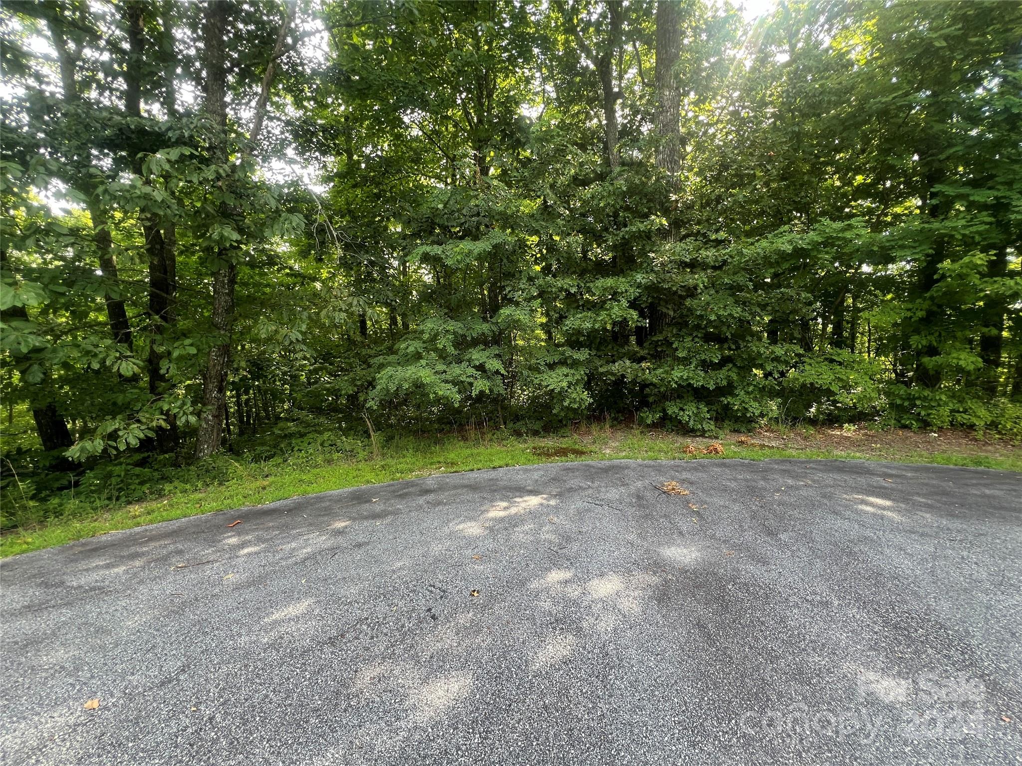 000 Laurel Thicket Lane