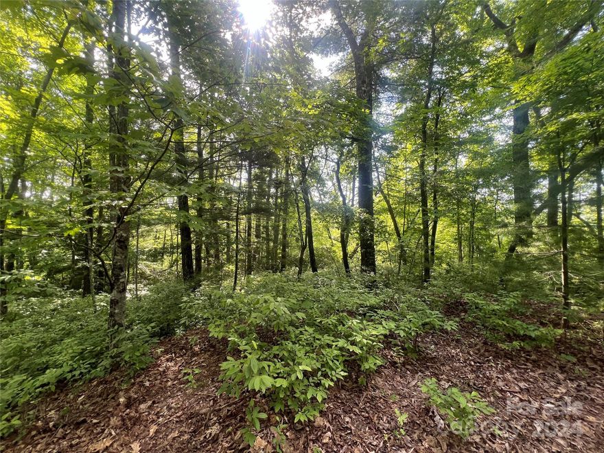 This is a premium view homesite in an established low density community.  Sitting right at 3,000 feet for cool summer days, this easy building lot offers privacy and views over the Headwaters 7,000 acre state Park. This is one of the best remaining lots available, the adjacent lot is also available for added privacy. Big Hill Community is only 20 minutes from Brevard or Dupont State Forest, it's adjacent to Headwaters State Park. Enjoy trout fishing along the East Fork River and hiking and Mountain Biking in Dupont Forest. Ideal location for road biking with access to premier routes. Situated at 3000 feet, embrace tranquility and beauty.