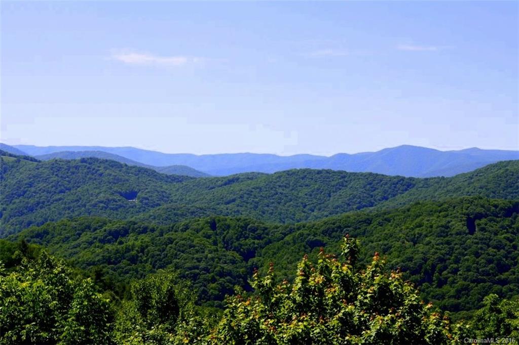 Wolf Laurel - Residential