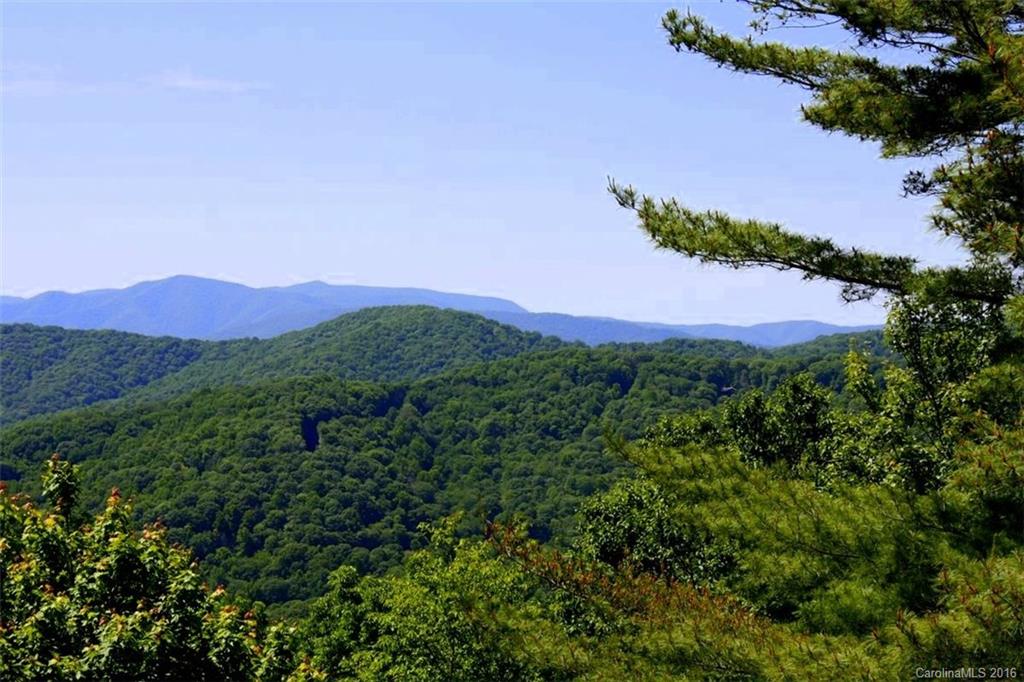 Wolf Laurel - Residential