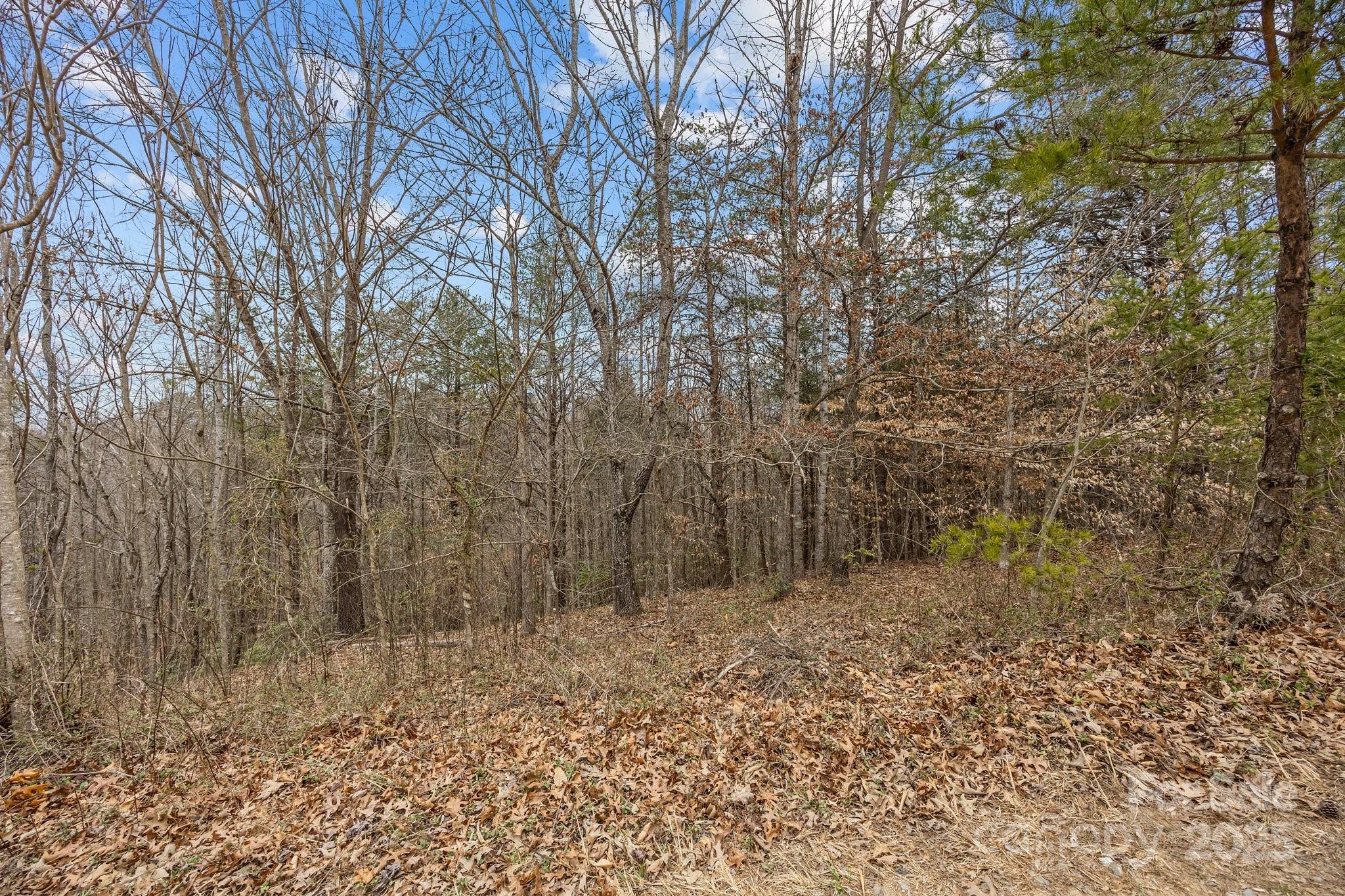 Lot 104 Glenhaven Drive
