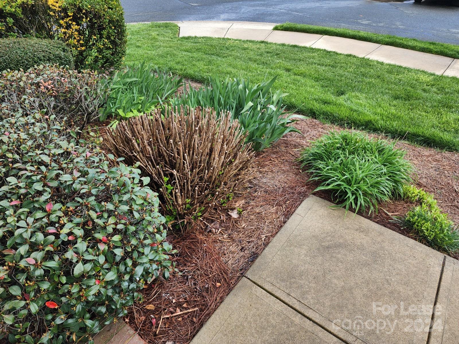 Autumn Cove At Lake Wylie - Residential Lease