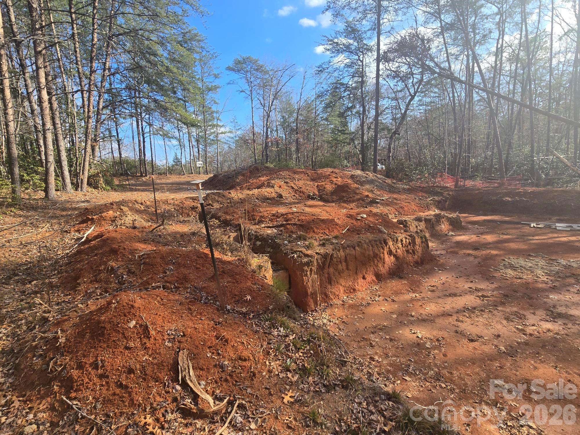 Rumbling Bald on Lake Lure - Land