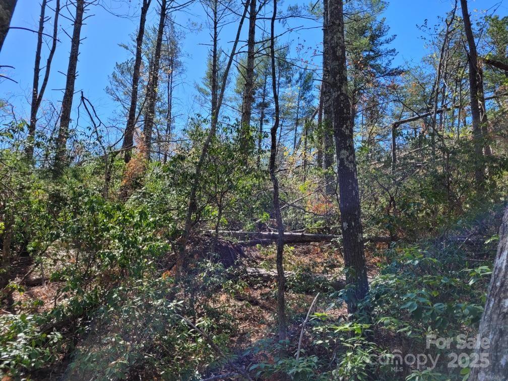 119 Fox Ridge Trail