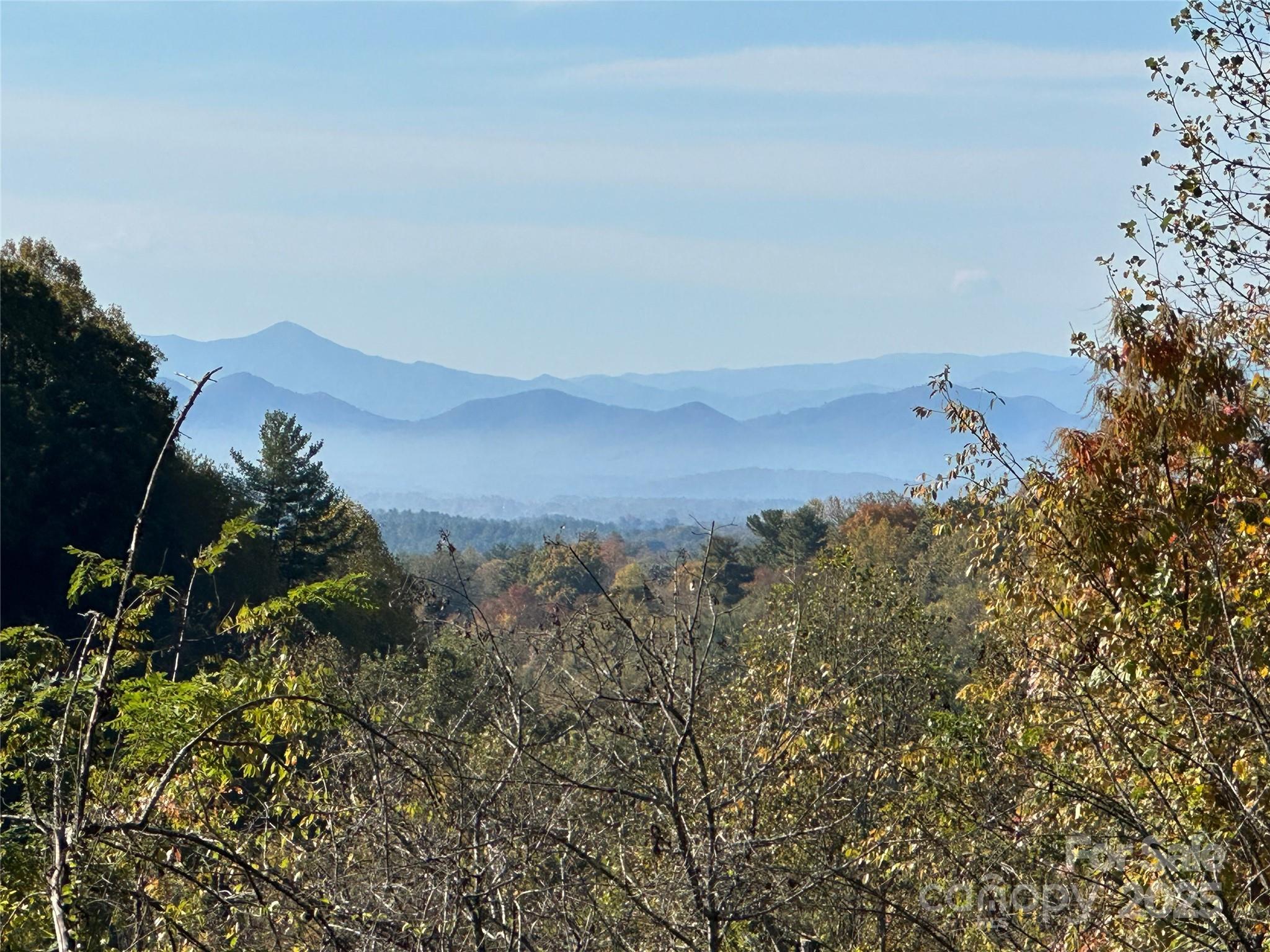 341 Green Meadow Lane