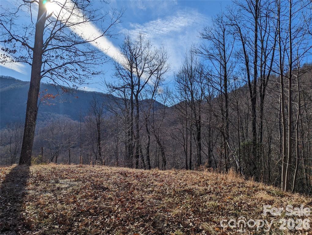 367 Kestrel Lane T-85