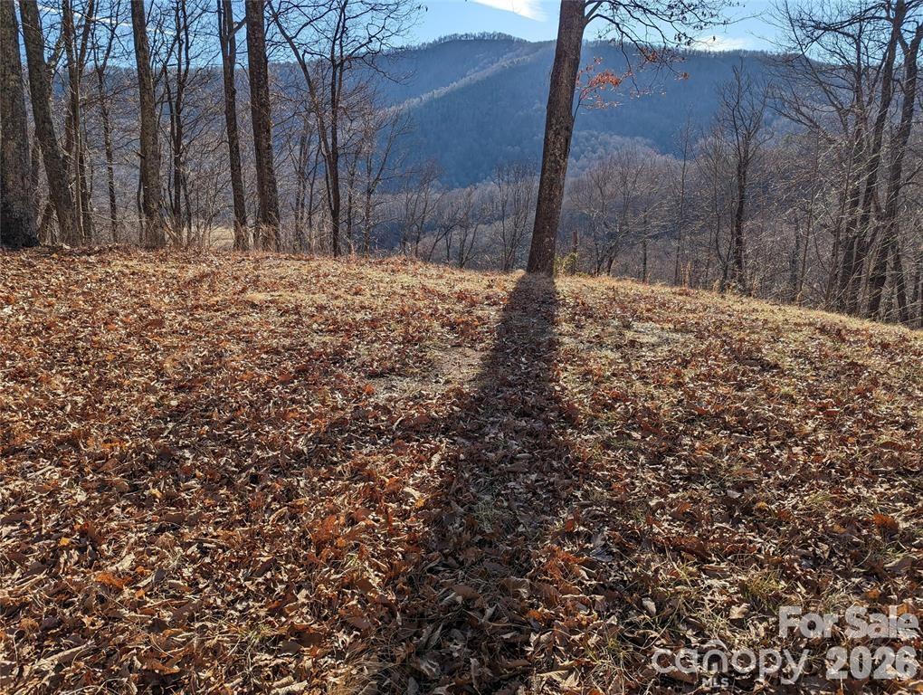 367 Kestrel Lane T-85