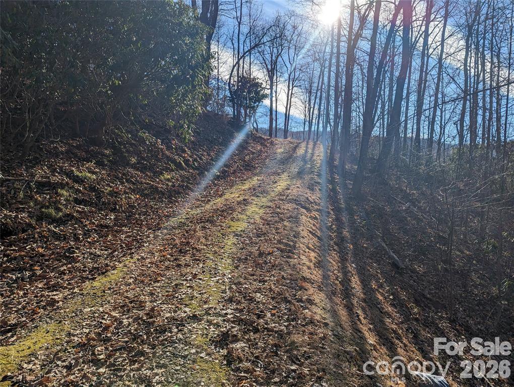 367 Kestrel Lane T-85