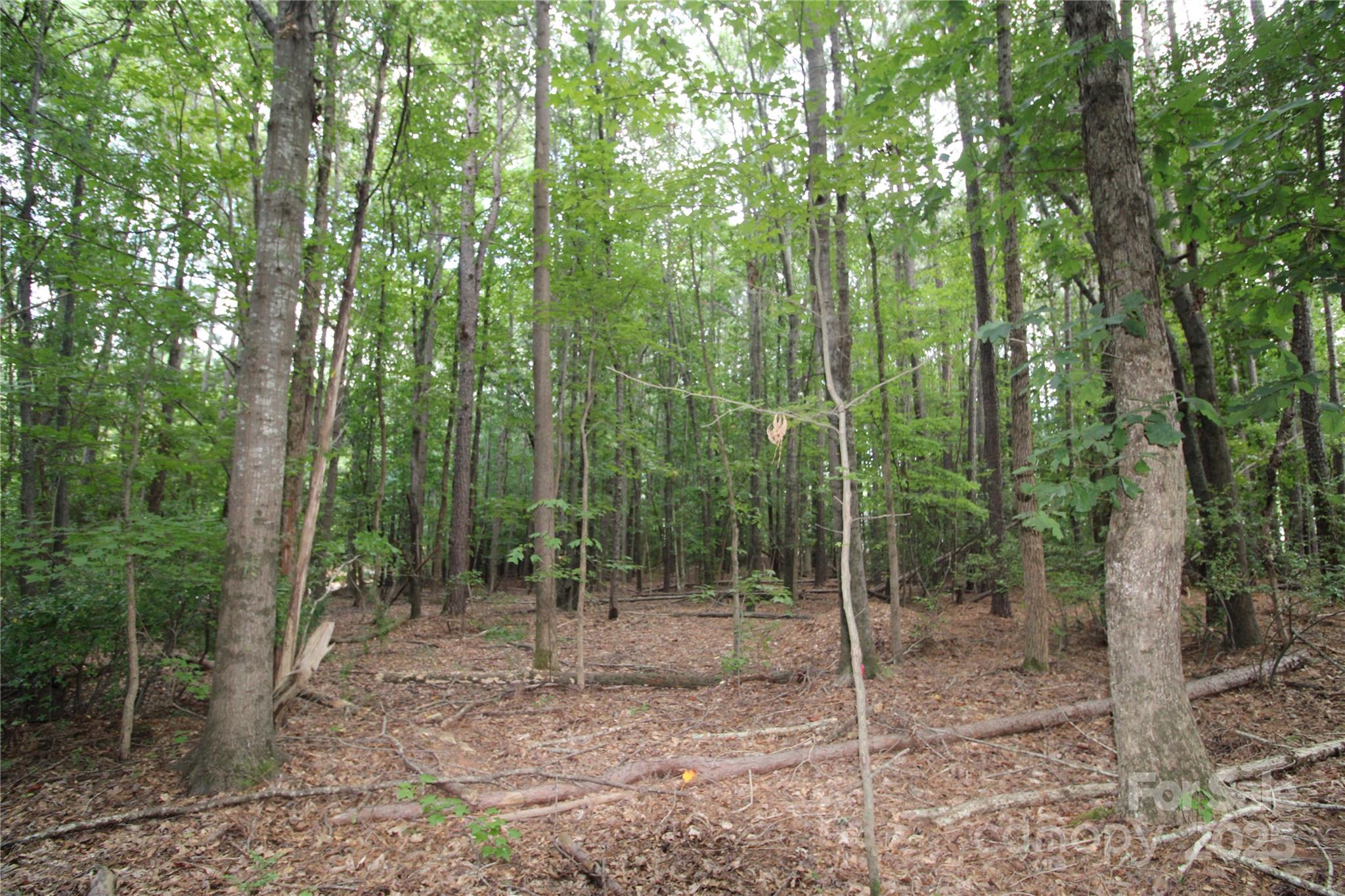 Lot 1 Lake Wylie Drive