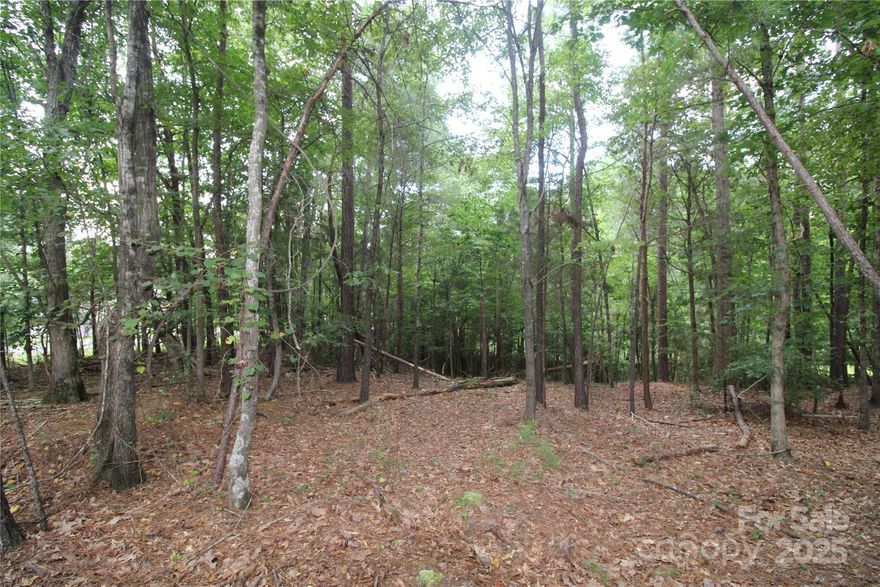 This beautiful, wooded 1+ acre lot, located on a quiet road in Rock Hill, SC, offers an ideal location to build your dream home! Nice private build site on over an acre of land. NO HOA! Minimum deed restrictions to create like in kind properties. Bring your own builder and build you dream home! Convenient location within minutes from the amenities of Rock Hill and have easy access to I-77. Property is part of a larger tract with other like in kind lots. Don't miss this opportunity to make this beautiful lot your future home!