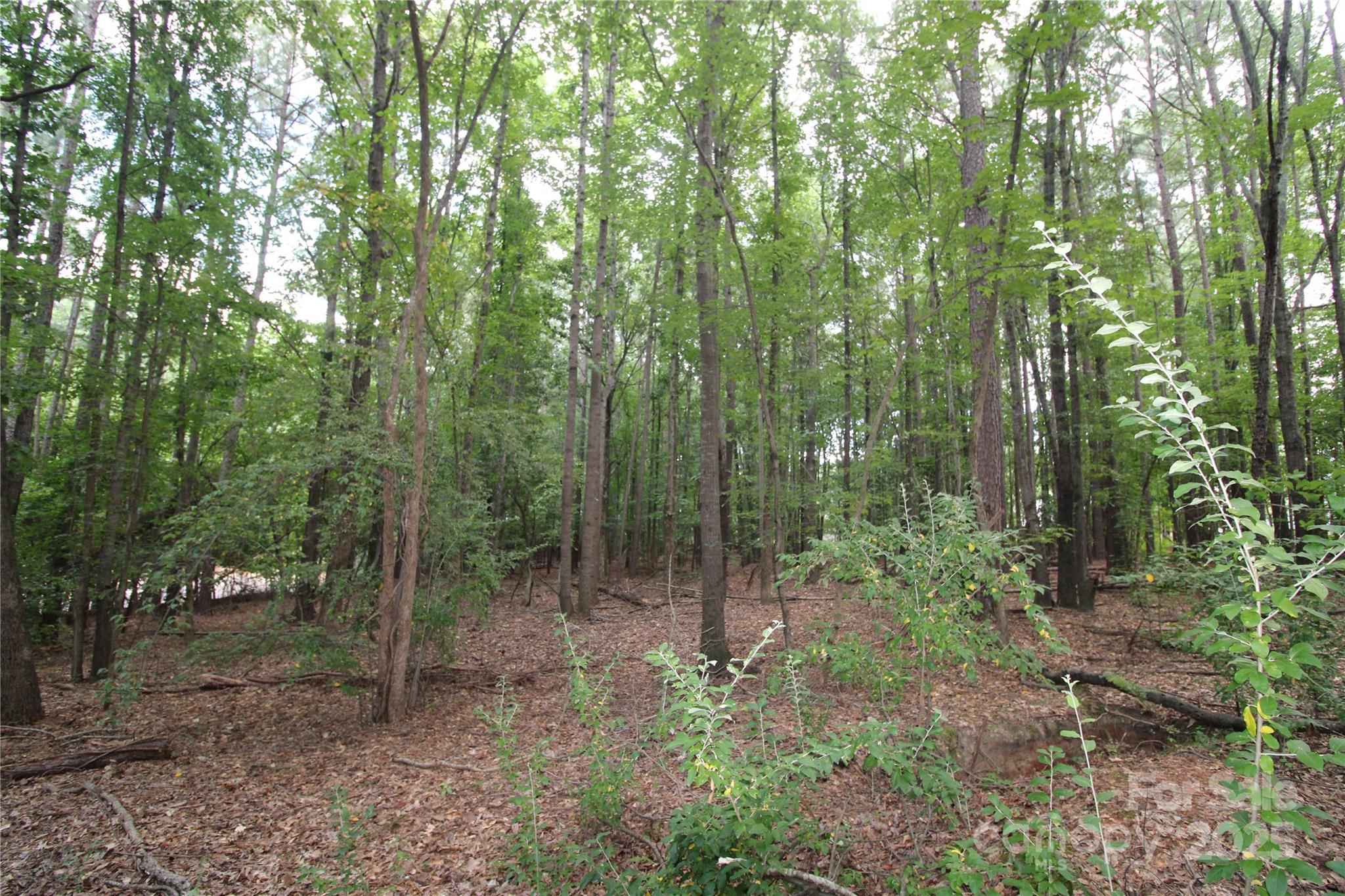 Lot 1 Lake Wylie Drive