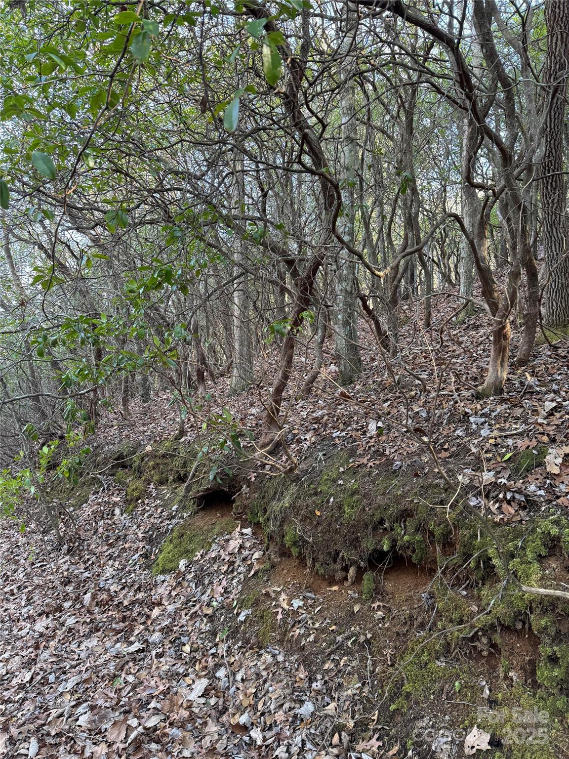 Lot #41 S Country Club Drive 41