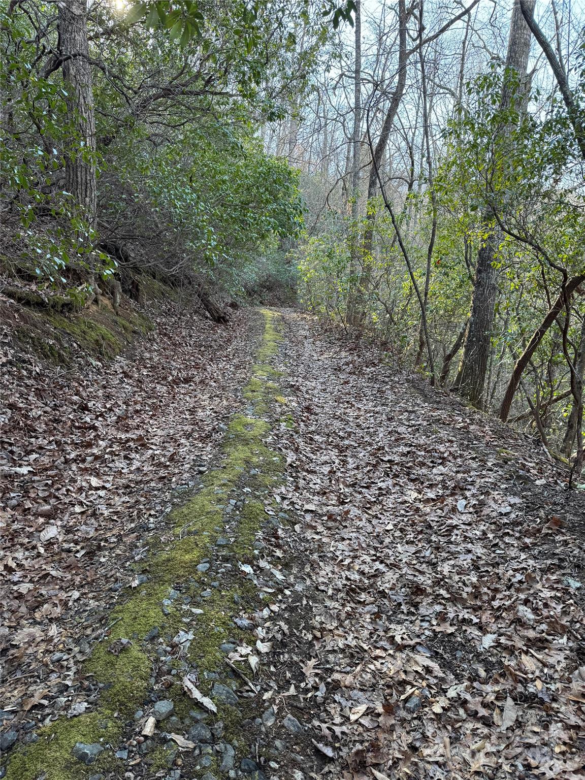 Lot #41 S Country Club Drive 41