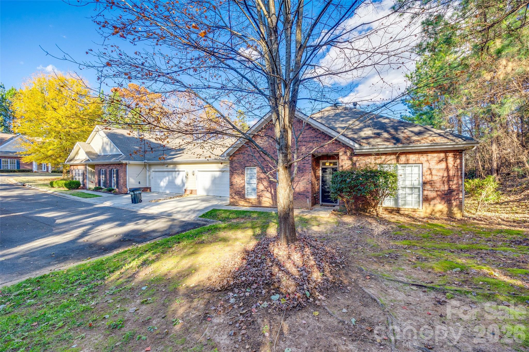 2023 Aragon Lane