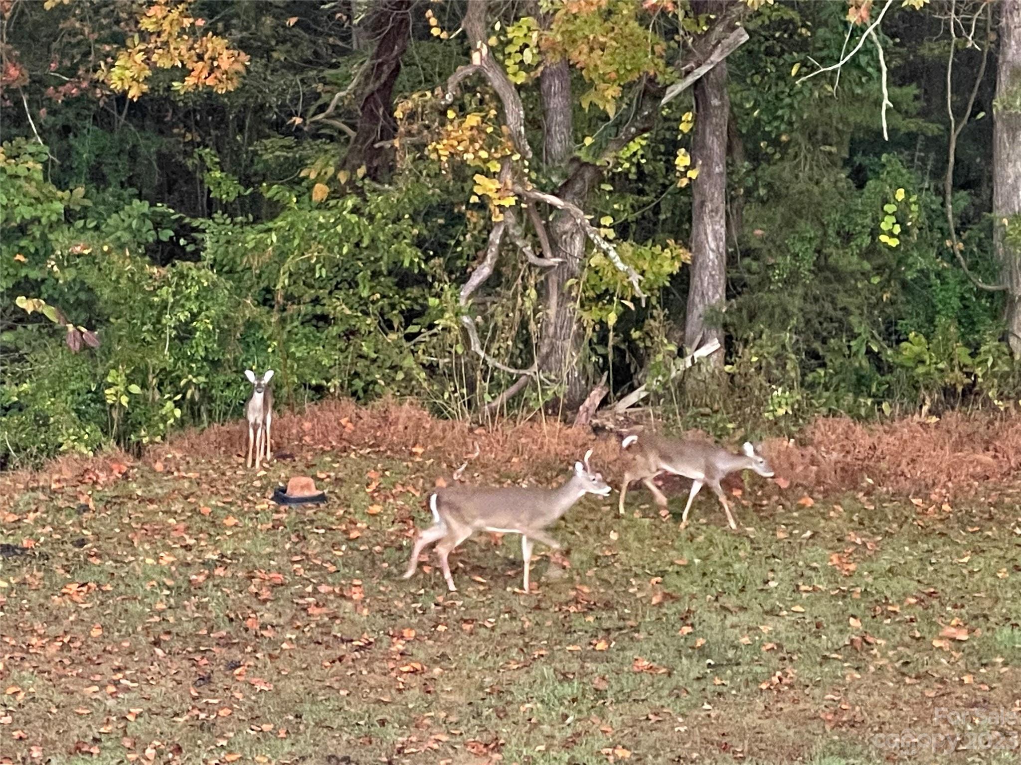 The Farm At Riverpointe - Residential