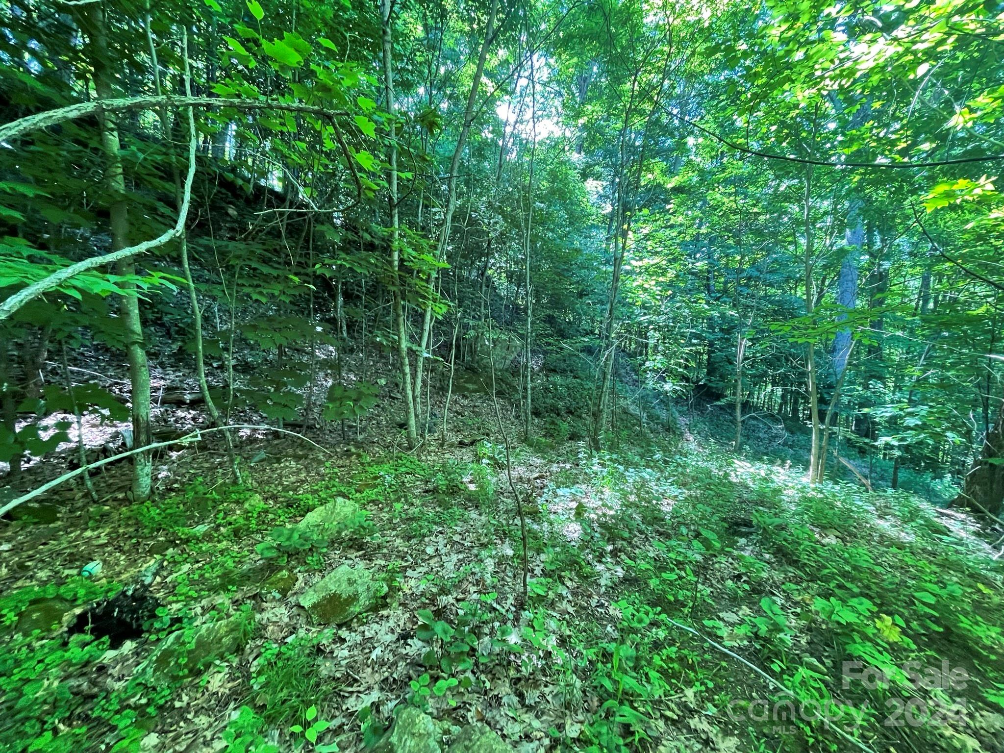000 Oak Ridge Lane 719