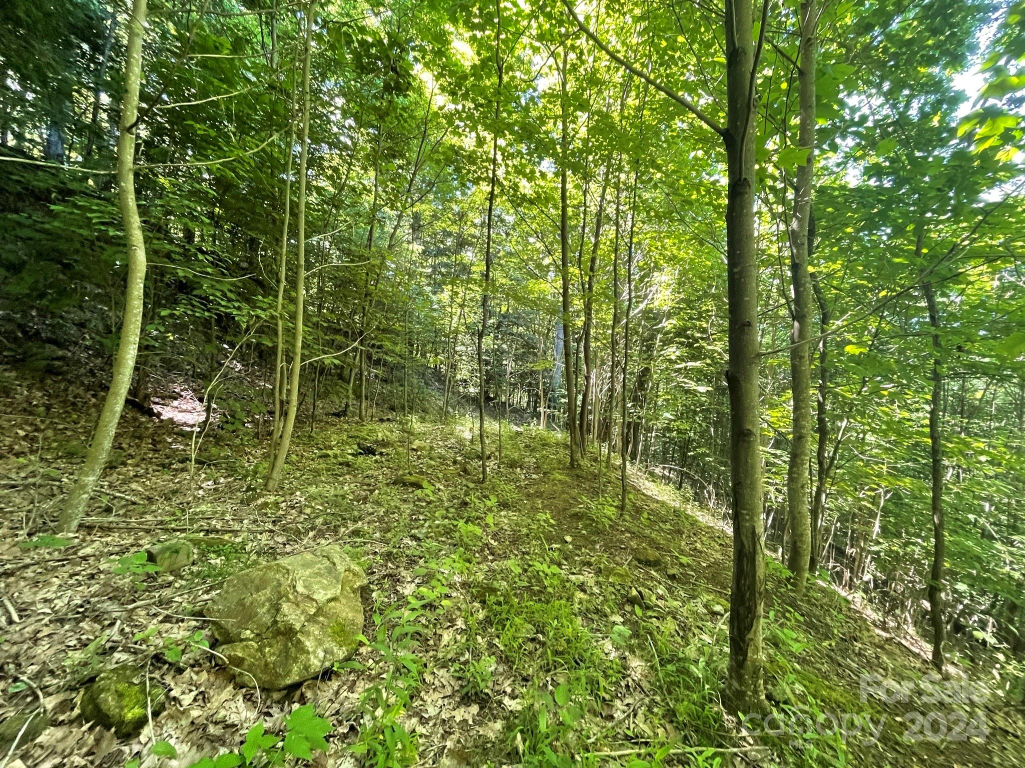 000 Oak Ridge Lane 719