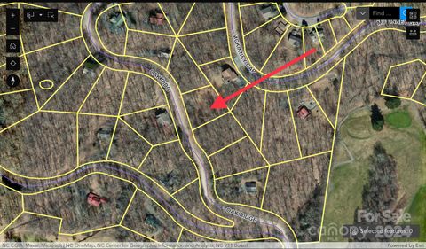 000 Oak Ridge Lane 719 Mars Hill NC 28754