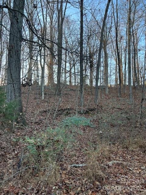 Walnut Hills - Residential