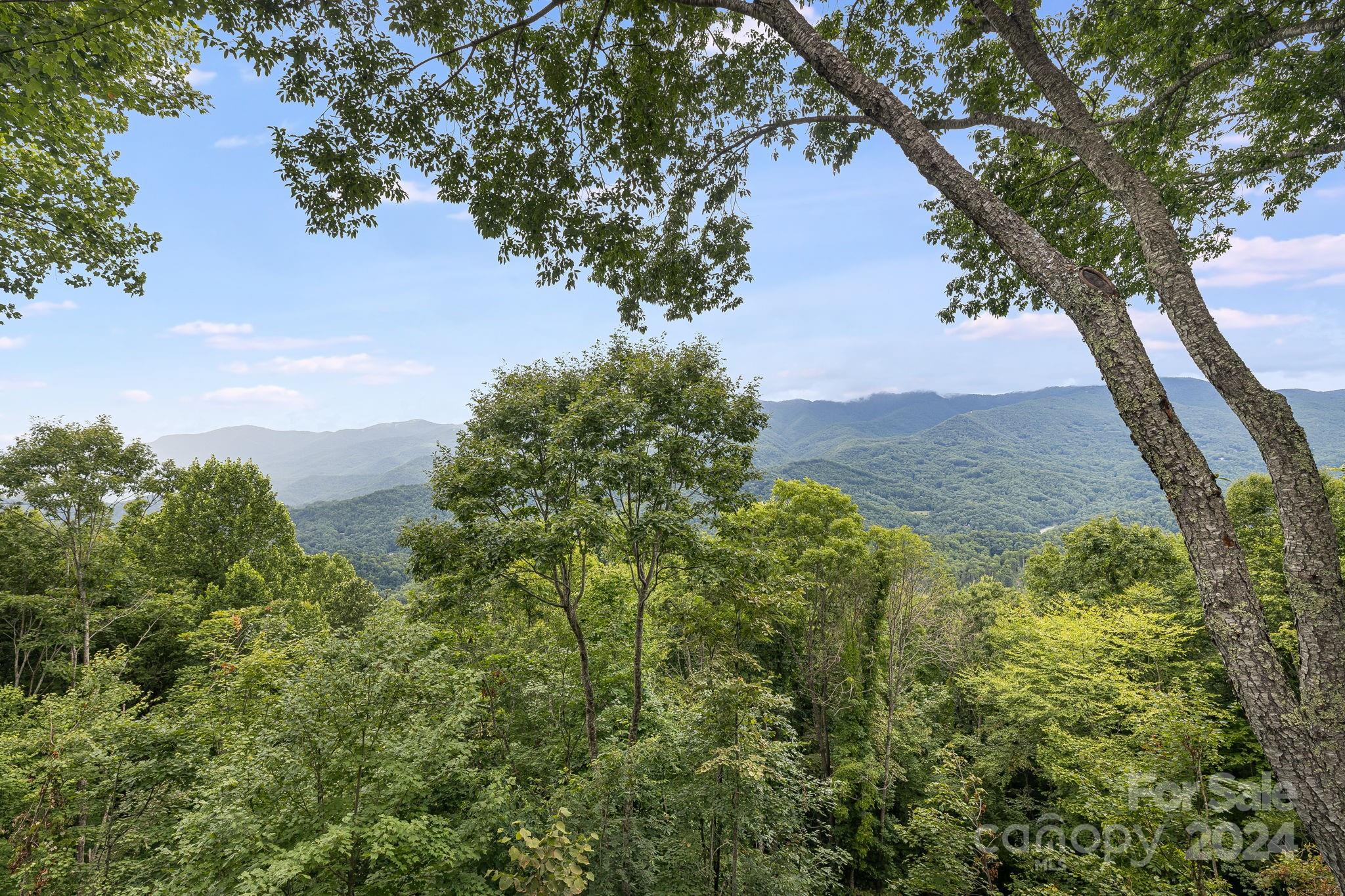 Balsam Mountain Preserve - Residential