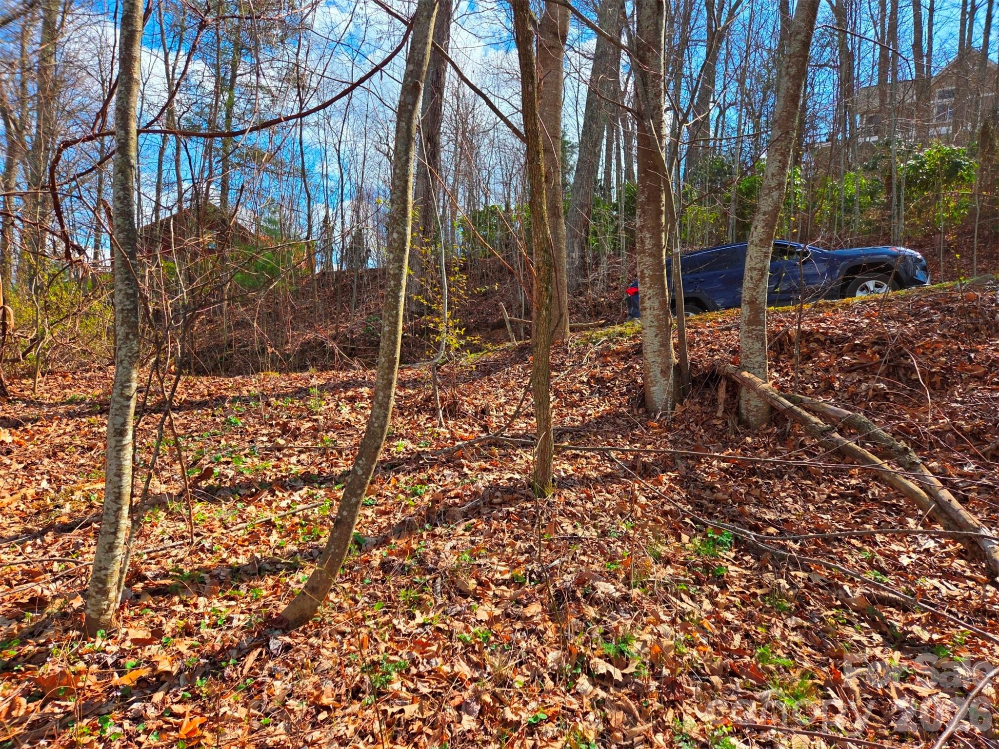 Utah Mountain Estates - Land