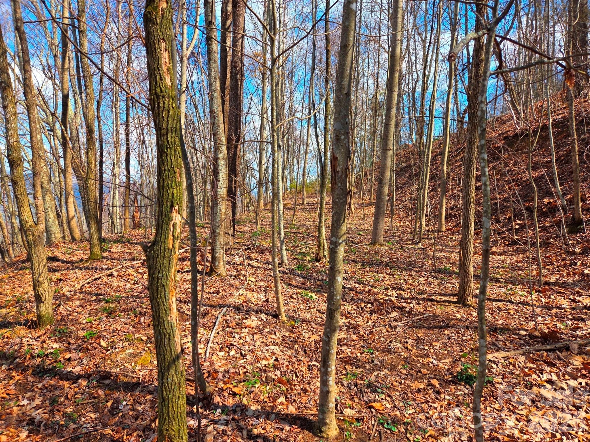 Utah Mountain Estates - Land