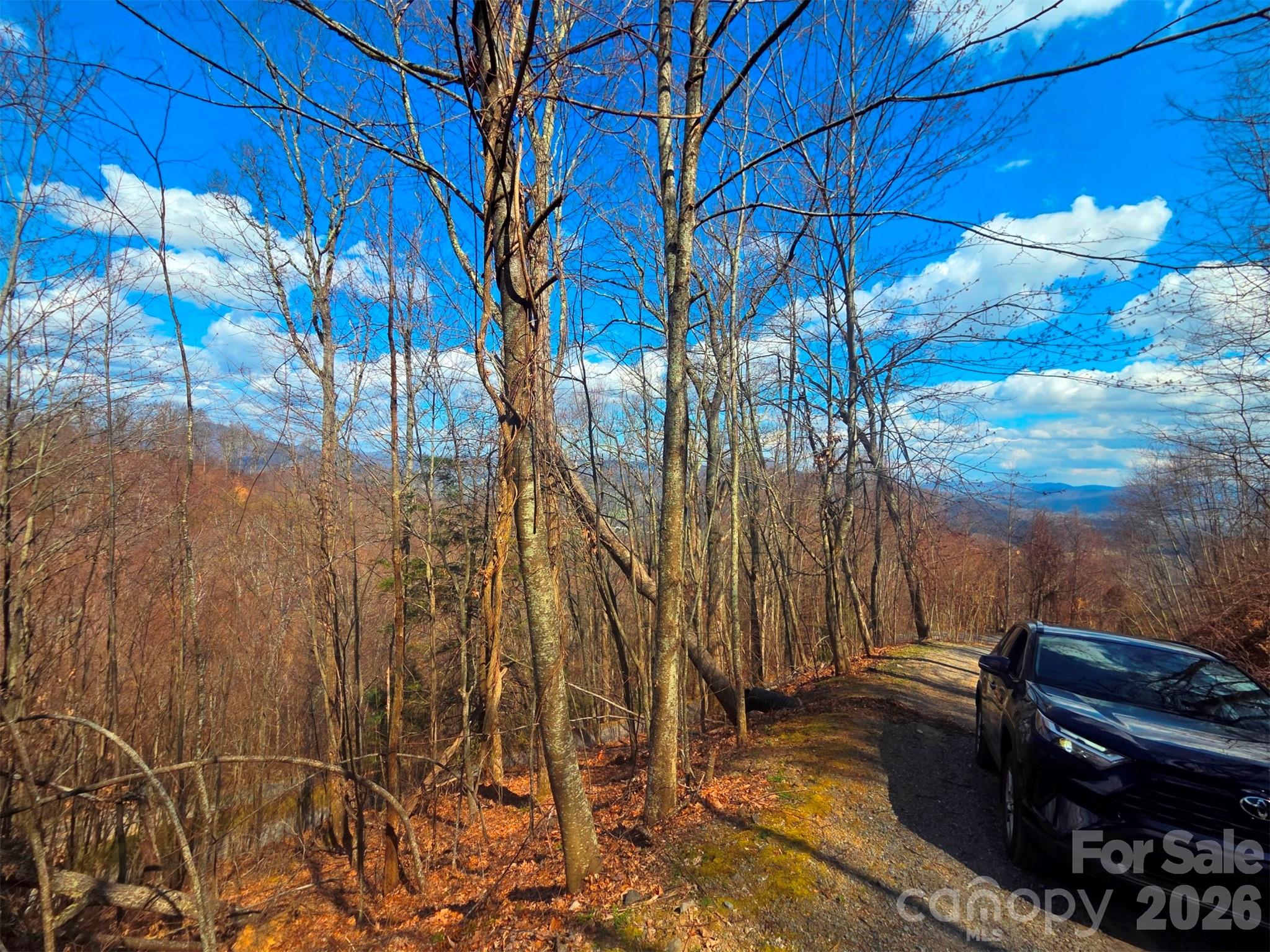 Utah Mountain Estates - Land