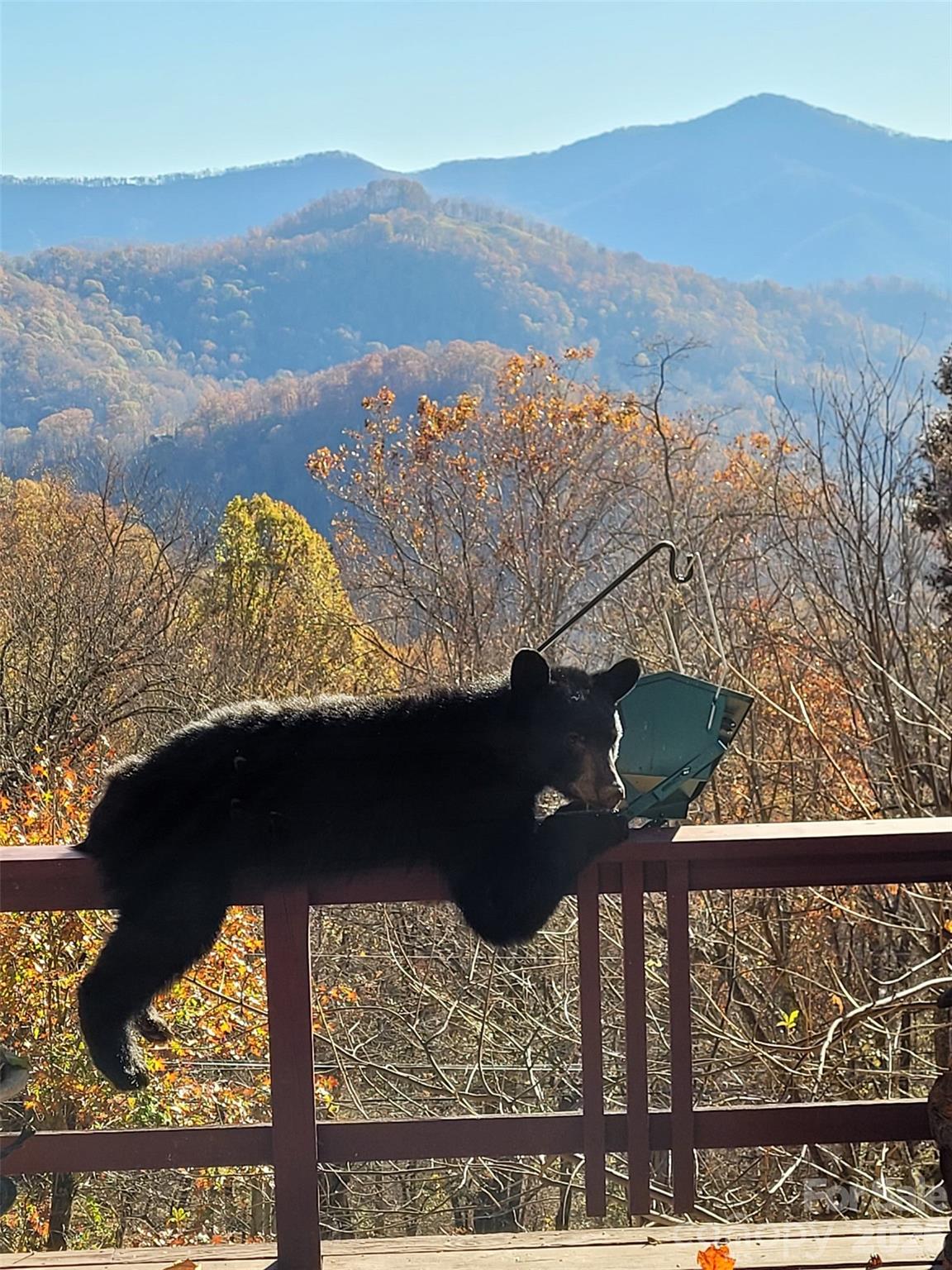 Utah Mountain Estates - Land