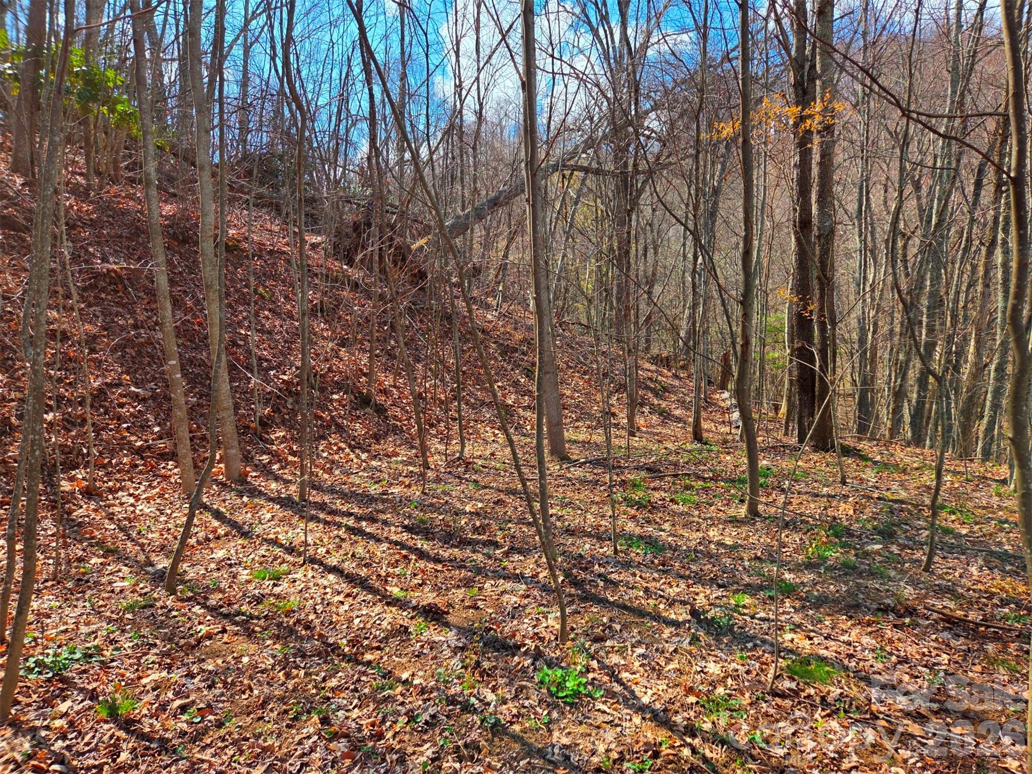 Utah Mountain Estates - Land