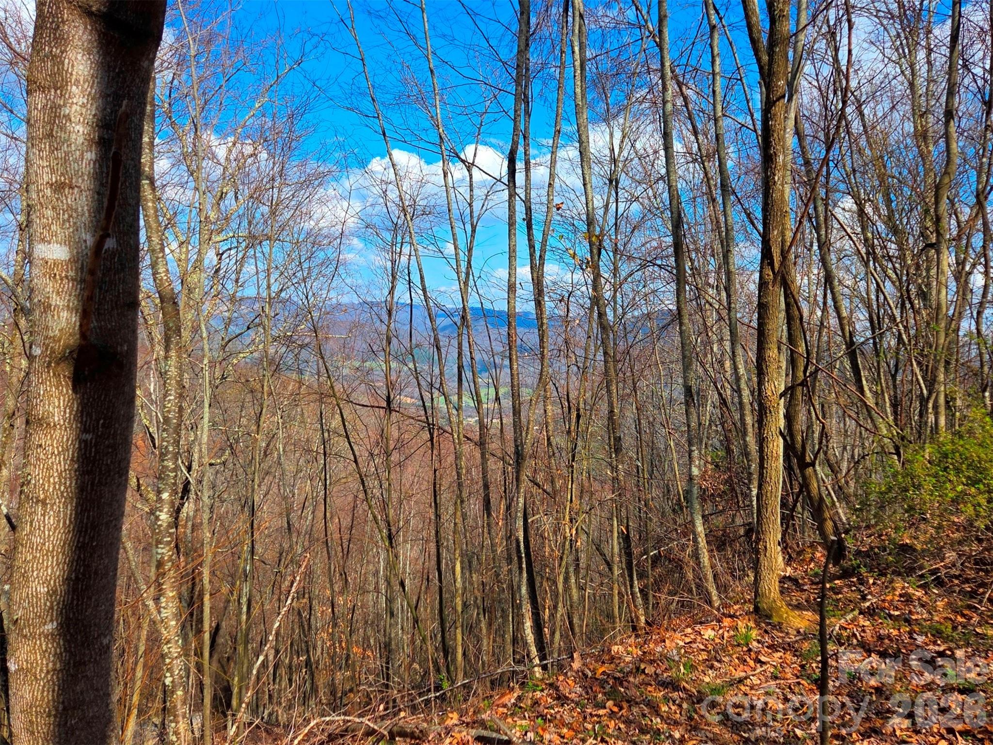 Utah Mountain Estates - Land