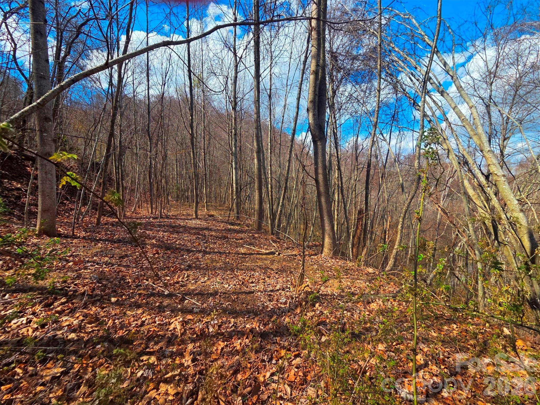 Utah Mountain Estates - Land