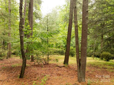 50 Forest Road Asheville NC 28803