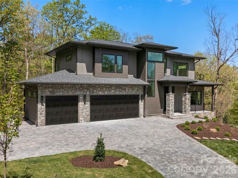 Photo of 163 Stonefly Drive, Horse Shoe, NC 28742 (MLS # 4374086)