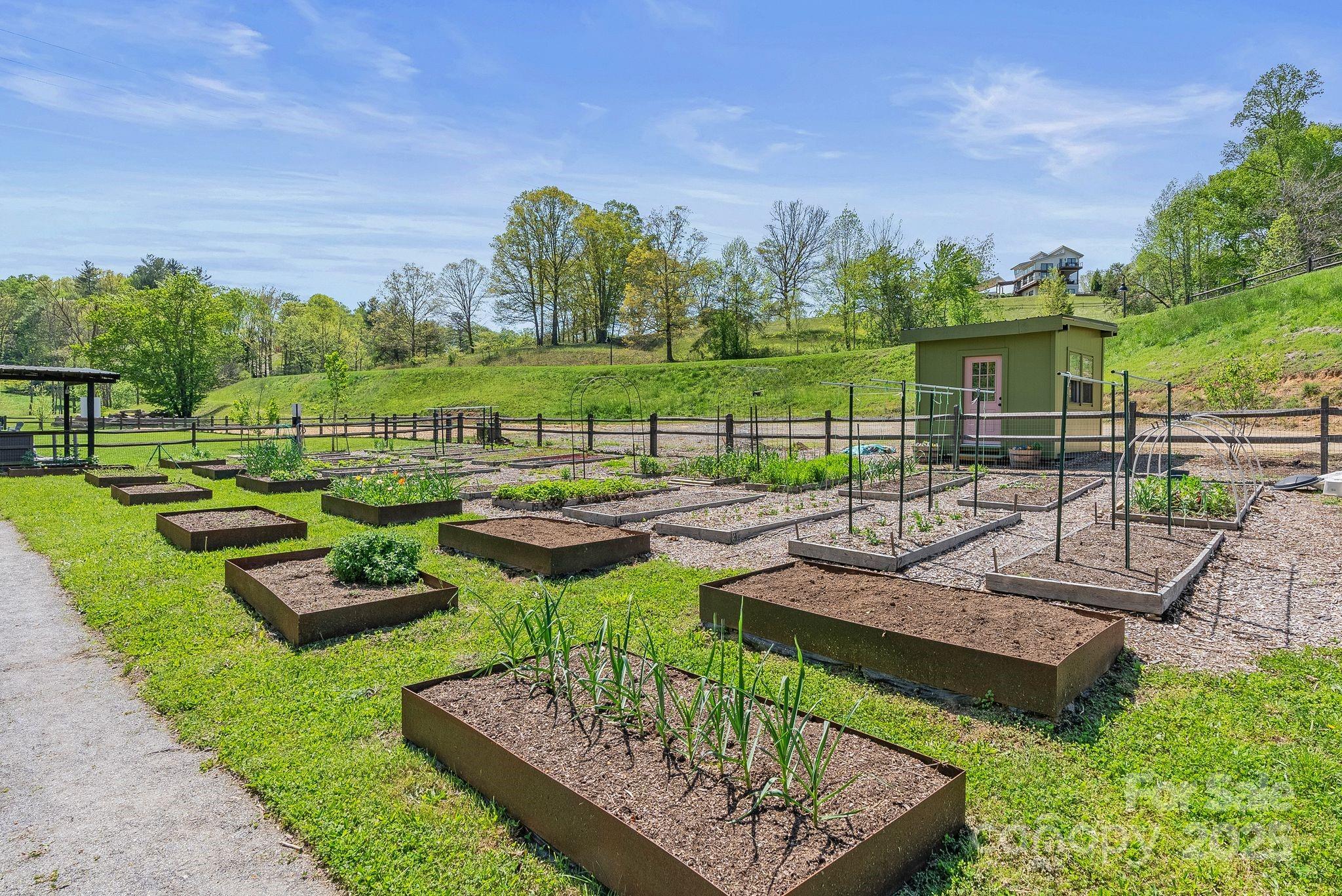 Olivette - Residential