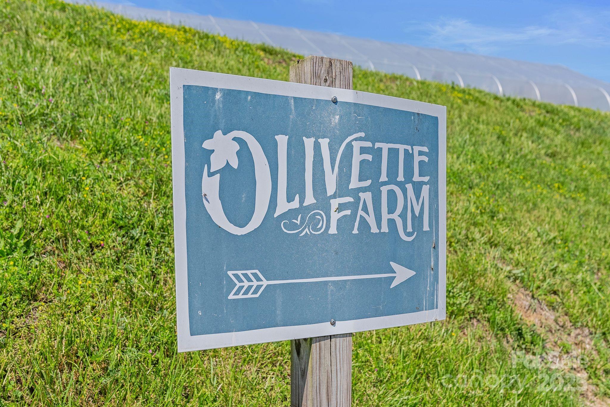 Olivette - Residential