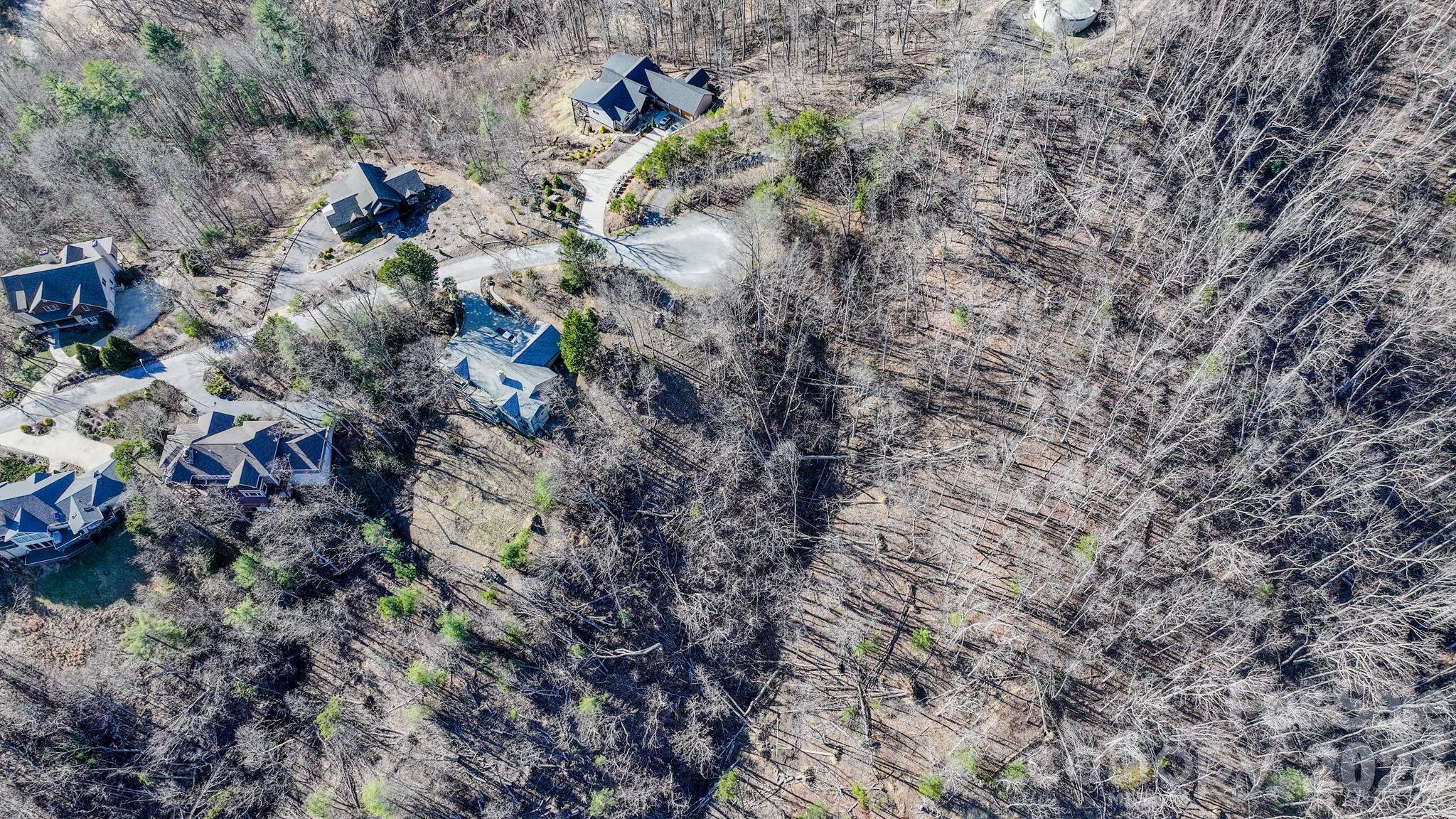 Reems Creek Golf Community - Land