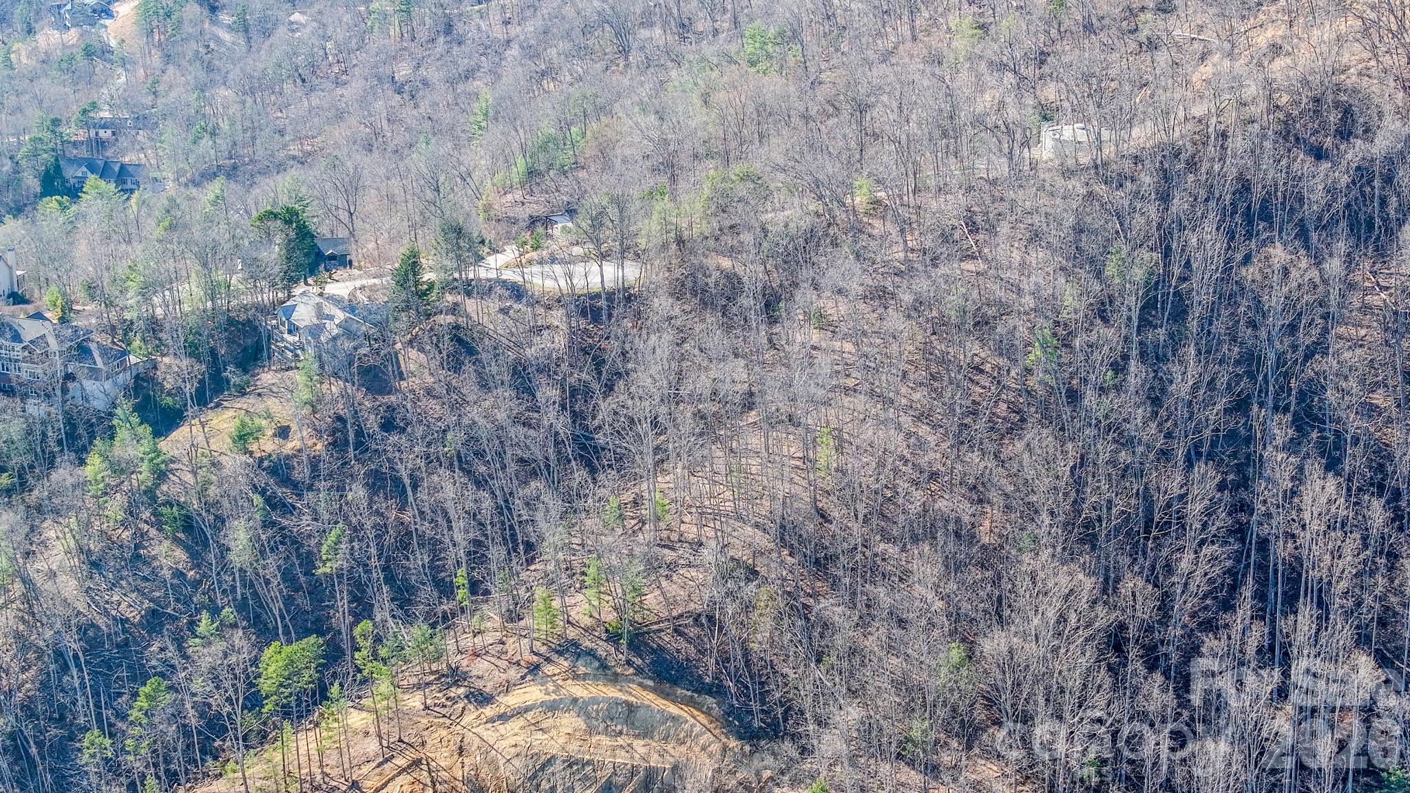 Reems Creek Golf Community - Land